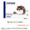 아지동물병원 이미지