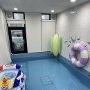 슈슈풀빌라 | 경주가족여행) 아기랑 가기 좋은 슈슈풀빌라👶