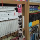 일신콜렉션