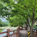 사인암민박 이미지