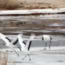 하천(갑천4) 이미지