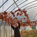 영구네농장 이미지