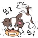 페피 밀(PEPPY MEAL) 이미지