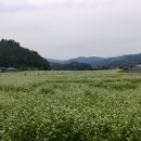 바우길 17구간 이미지