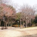 용의발광장 이미지