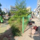 상가 앞 이미지