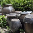 남도의 향기 이미지