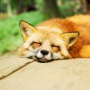 김정민한의원 이미지