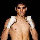 스타복싱 체육관 이미지