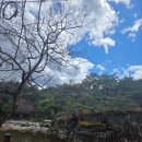 다도예절 | ​🌸 [대전 전통예절.다도]지킴이 국.사.모와 봄 나들이: 거창 수승대와 창포원 여행기