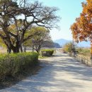 진평왕릉 화장실 이미지