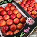 보은농장 이미지