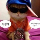 가을이 오면🎵