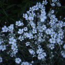 살바토레펜션 이미지