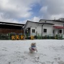 우리에너지 | 🐶 [포천애견카페 후기] 우리 공주님 에너지 발산 최고! 청결함이 남다른 노라도라 솔직 방문기