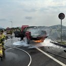 평화로(1) 이미지