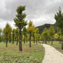 스테이 소안 이미지