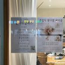더리피플라워