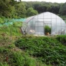 분당-377 이미지