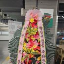 더맨타코 본사