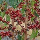 신학농장 이미지