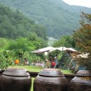 솔밭펜션 캠핑장 이미지