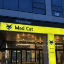 캣 | 동탄호수공원 파스타 가성비 맛집 매드캣 내돈내산 후기