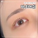 나비프라자 | 김해 내외동 속눈썹펌 잘하는곳 마요래쉬 유지력 좋은 속눈썹 맛집