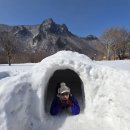 대원사뒤 성인봉 입구 | 울릉도 성인봉/ 천부~관음도 해안길 2026. 2. 21.