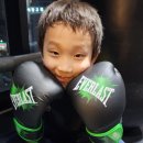 스퍼트 복싱 이미지
