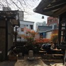 카페 오가닉 이미지