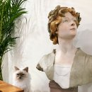 버만캣패밀리 이미지