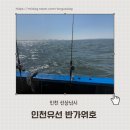 하하약국 | 인천배낚시 후기｜초보도 가능한 인천 바다낚시와 특별한 인천데이트