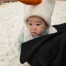 스펀지플러스노래연습장 | [문화센터] 6-7개월 아기의 첫 홈플러스 문화센터 '숲속 오감 놀이마당' 후기