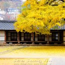 전주향교 이미지