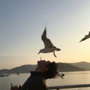 빅보스통신 이미지