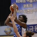 마크해리스 이미지