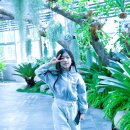 경주부화장 이미지