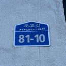 스테이 티모가