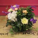 컨포지움 이미지