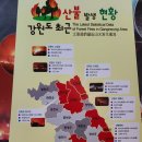 숲사랑(산불방지)홍보관 | 강릉 숲사랑홍보관 숲사랑홍보관 영상체험관