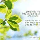 자미식당 이미지