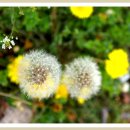 수선정사 이미지