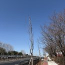 밍밍하우스 | 일산 밤리단길 샌드베이글 🥯 데이베이크하우스 방문 후기 내돈내산