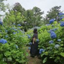 [제주일기] 제주도 동쪽 코스 제주도 놀거리 추천 &lt;김녕 미로 공원&gt;