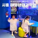 대촌동생태작은도서관 | 시흥 실내 가볼만한곳 해양생태과학관 입장료, 피딩타임