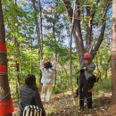 선화유치원 이미지