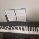 Yamaha P45 전자 피아노 , 디지털 키보드 Digital Keyboard/Piano 이미지