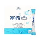 에버그린 이미지