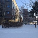 드림아이의원 | 시험관 동결 1차(생리 2일차), 천안 드림아이 여성의원 방문 후기